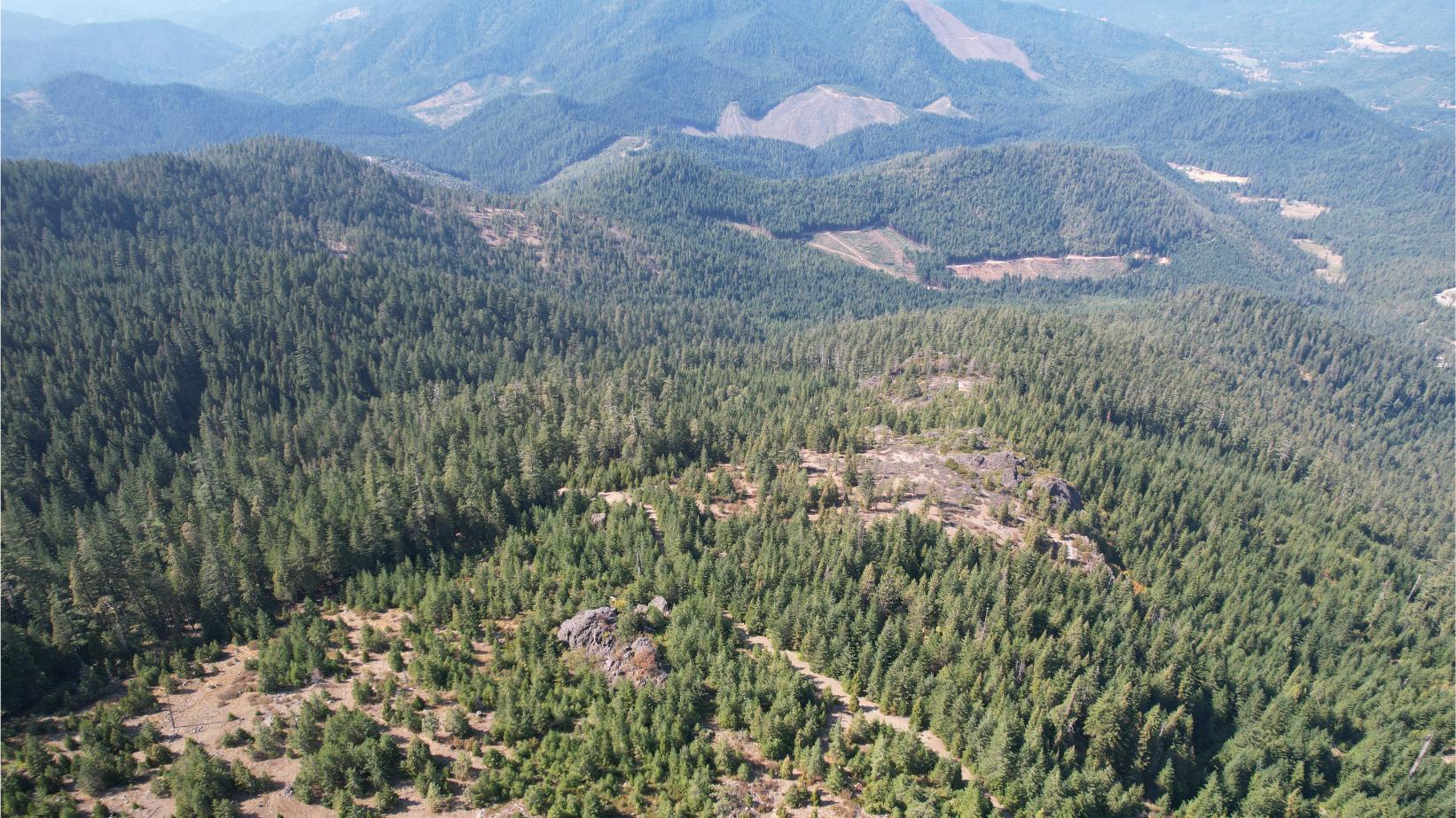 DJI_0337