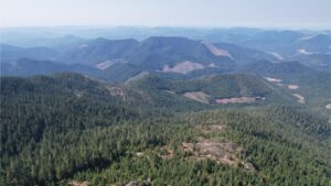 DJI_0338