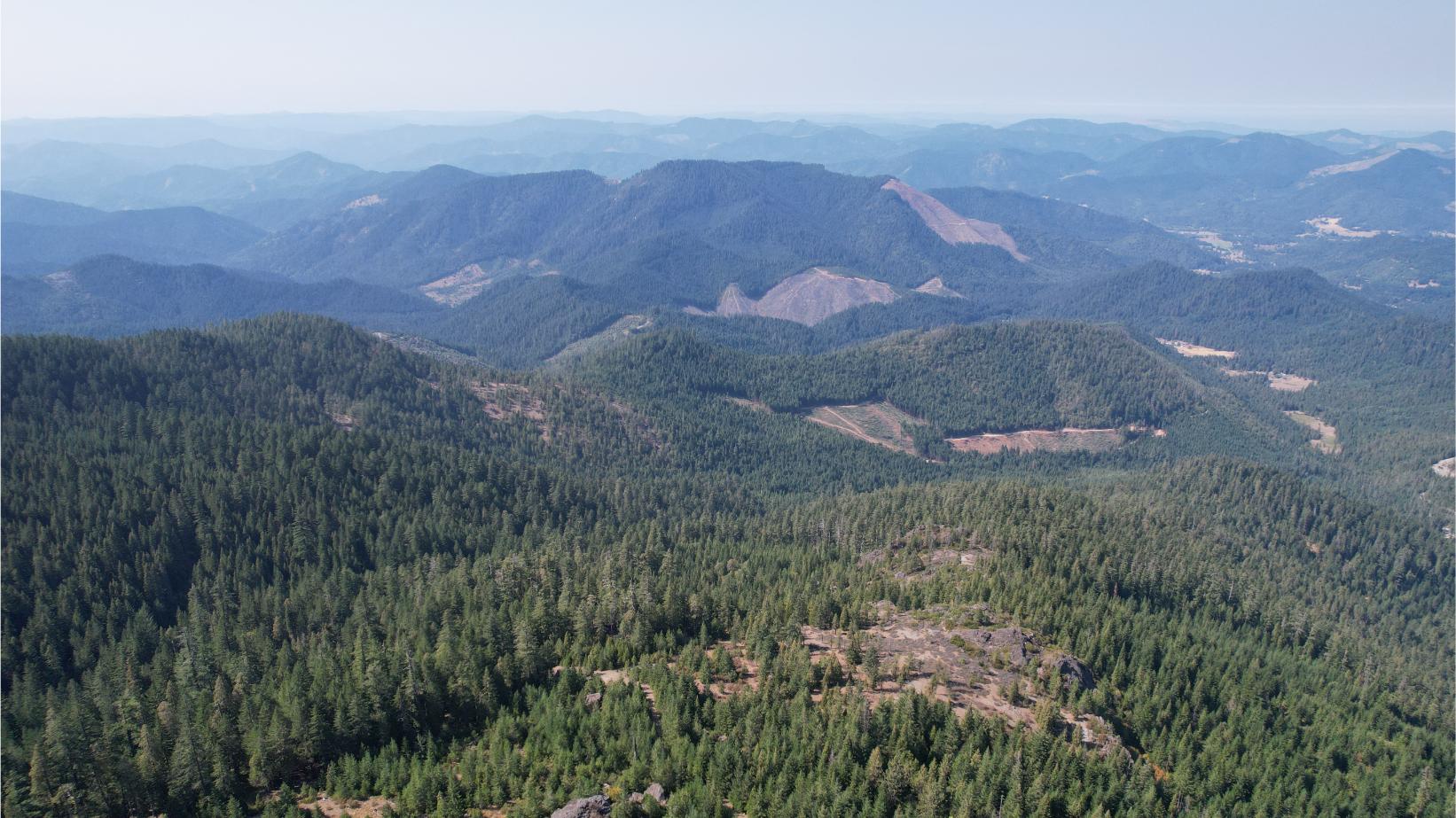 DJI_0338