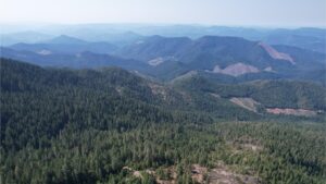 DJI_0349