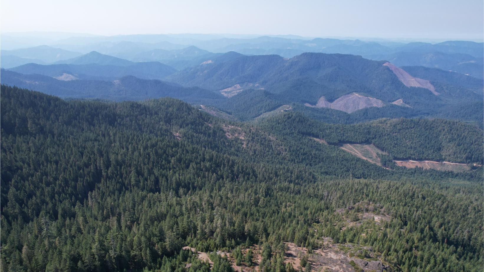 DJI_0349