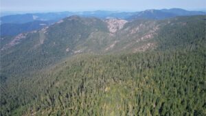 DJI_0382
