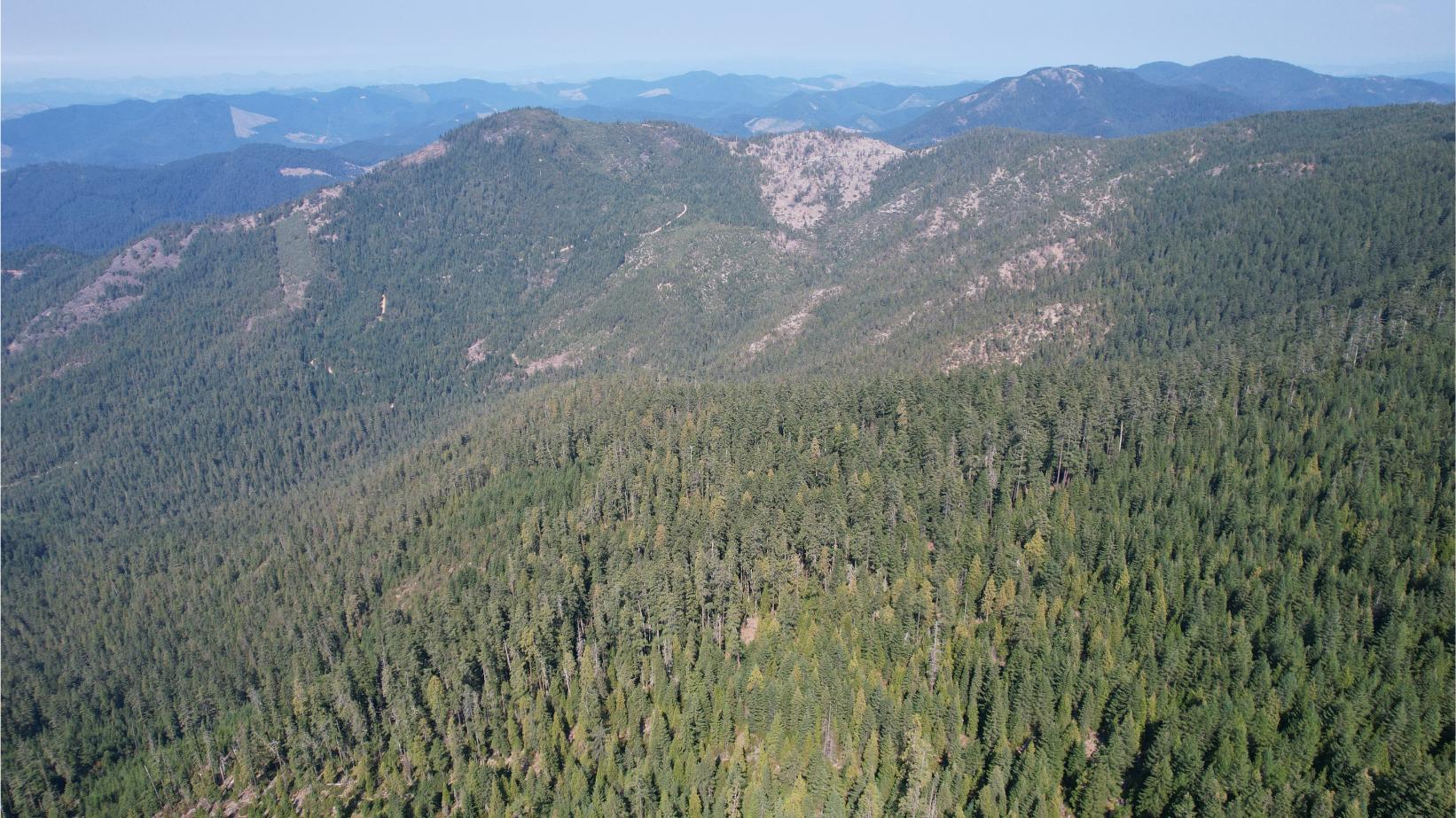 DJI_0382