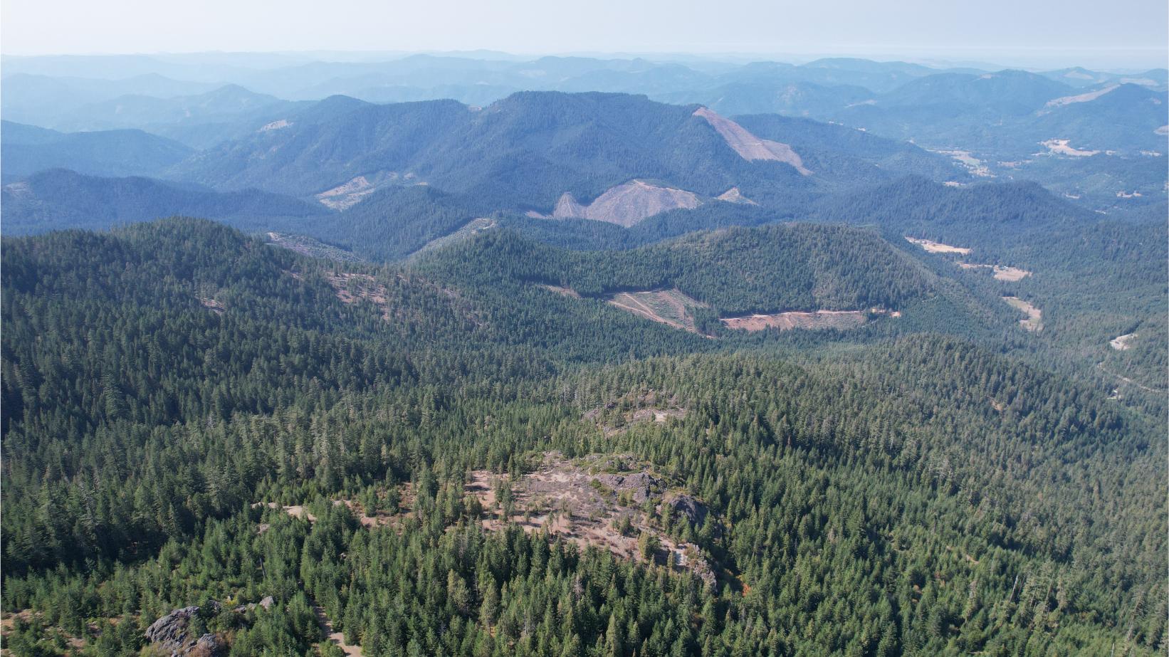 DJI_0384