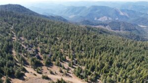 DJI_0424