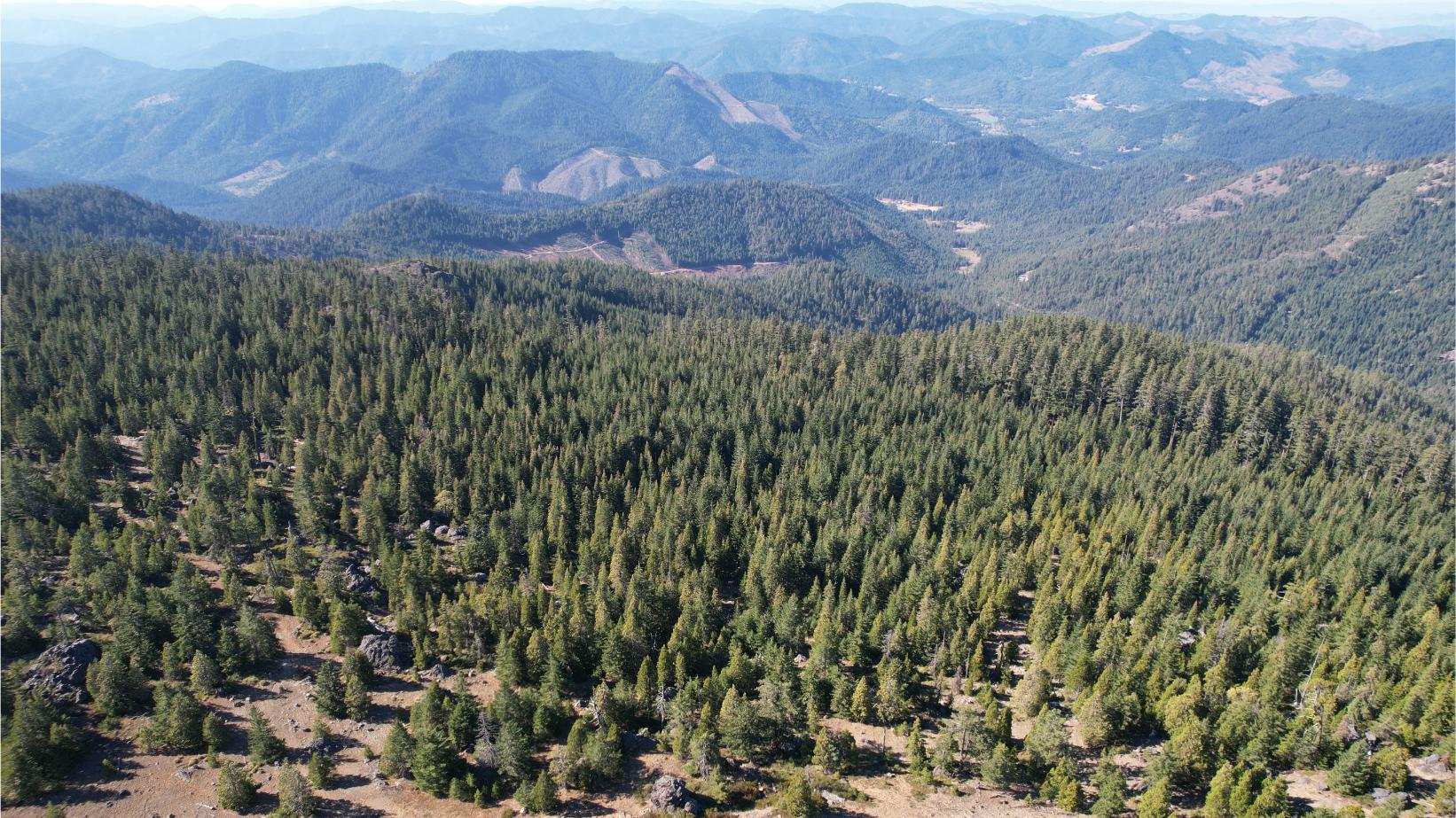 DJI_0441