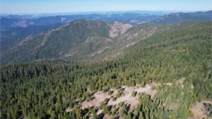 DJI_0447