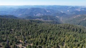 DJI_0449