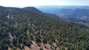 DJI_0450