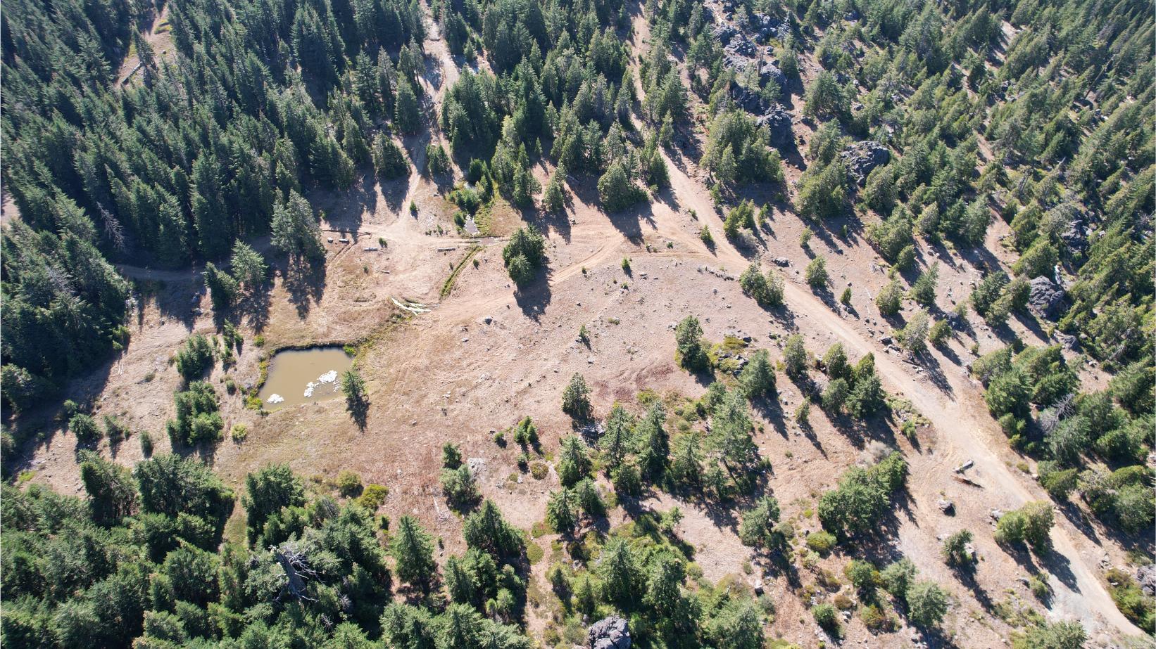 DJI_0453