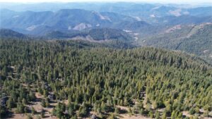 DJI_0456