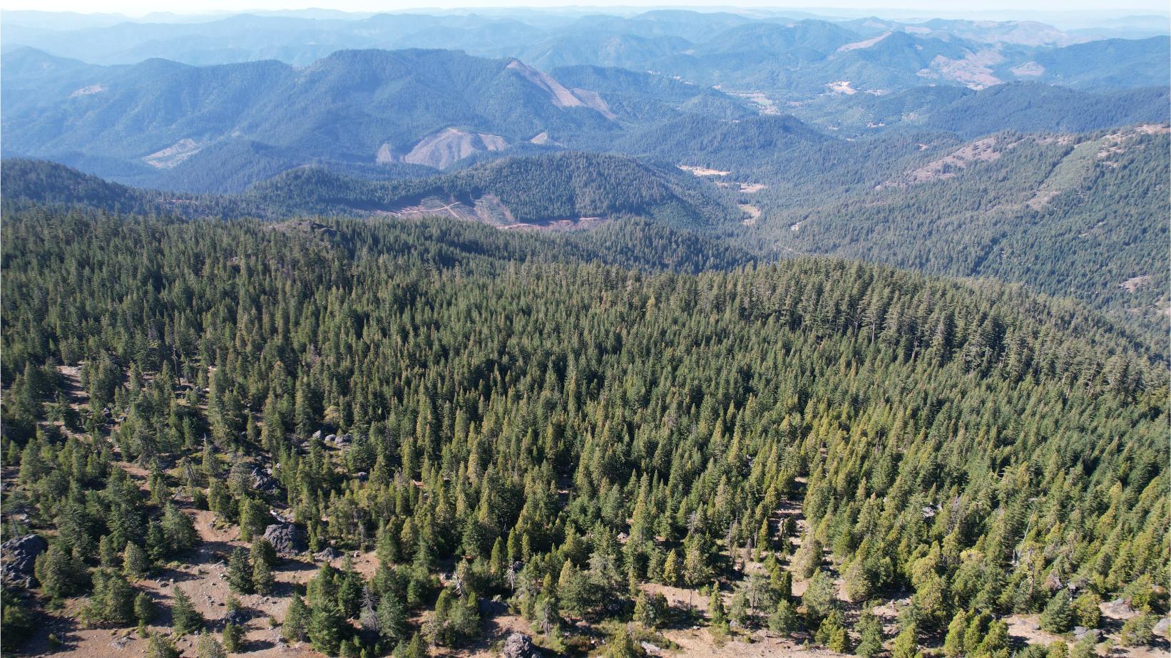 DJI_0456