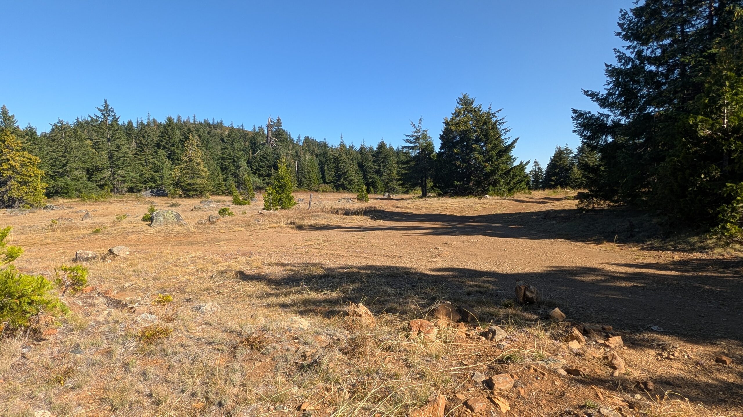 PXL_20250923_224357181