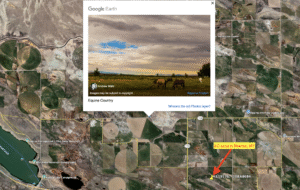 Screenshot 2025-10-09 at 2.10.24 AM