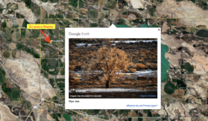 Screenshot 2025-10-09 at 2.12.09 AM