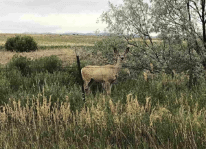 Screenshot 2025-10-09 at 2.20.51 AM