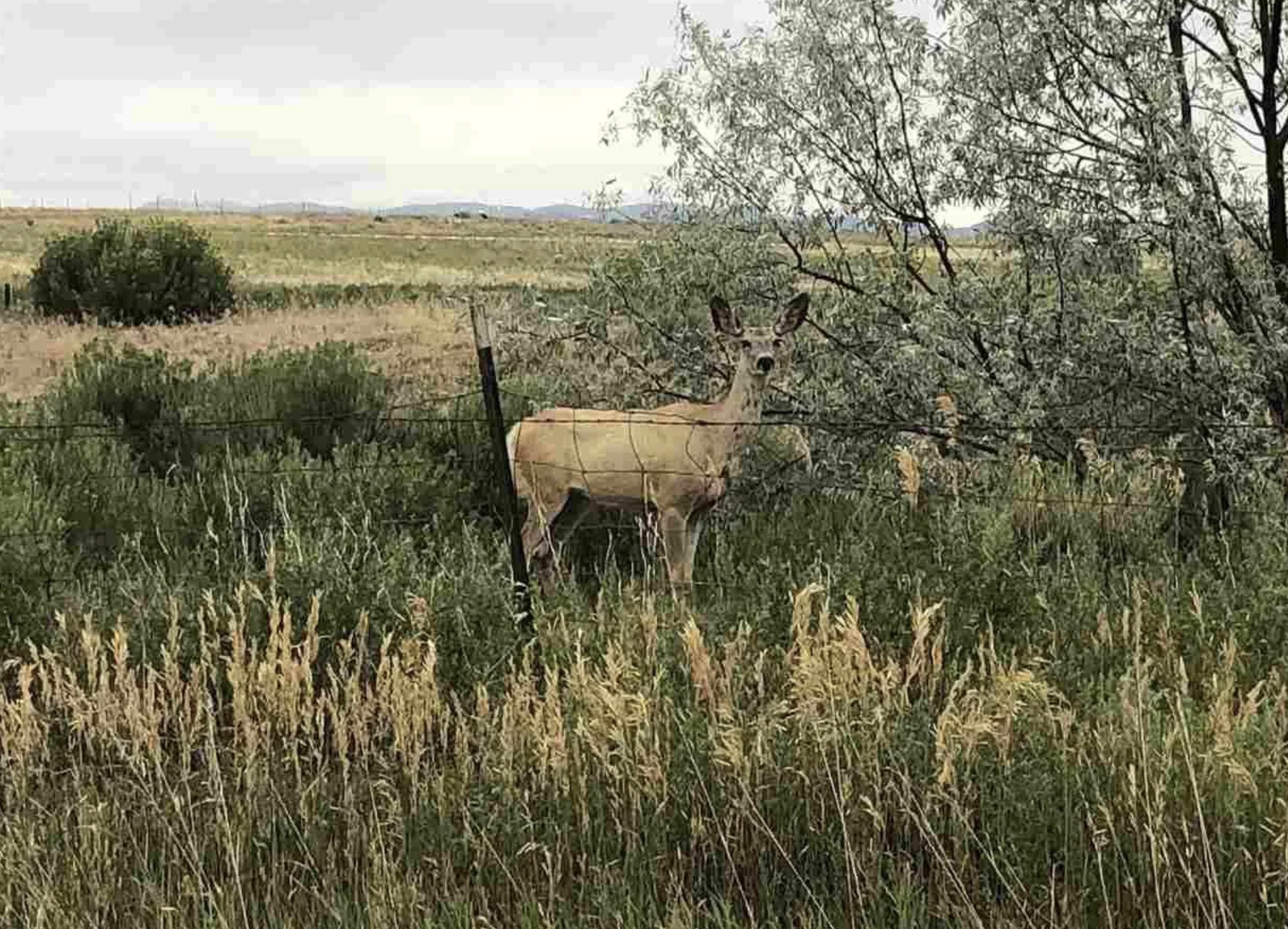 Screenshot 2025-10-09 at 2.20.51 AM