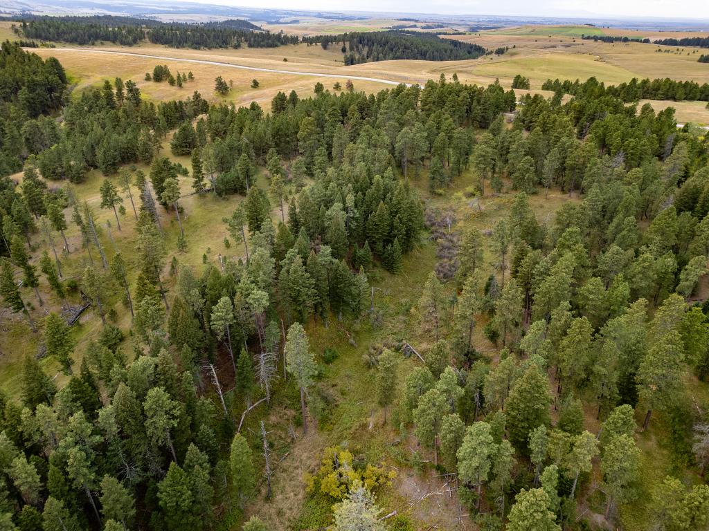 Wilco Fergus Velk Drone-06
