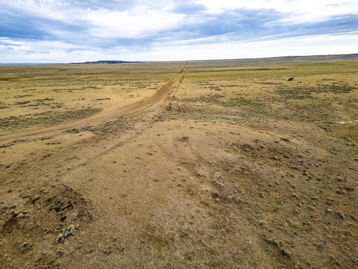 Wilco Musselshell Johnson Drone-11