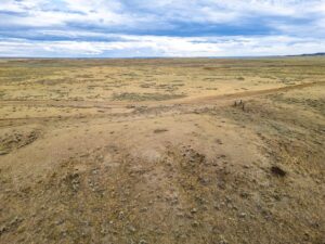 Wilco Musselshell Johnson Drone-12