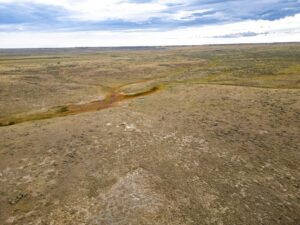 Wilco Musselshell Johnson Drone-13