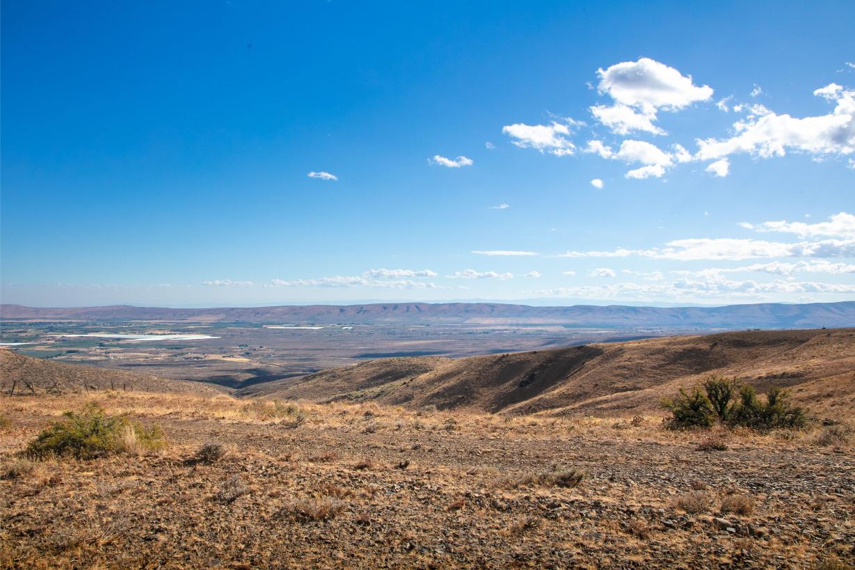 Wilco_251003_CowicheMtn_16131511003_01