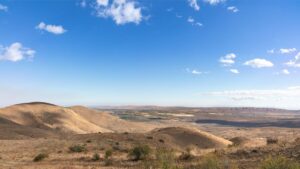 Wilco_251003_CowicheMtn_16131511003_02