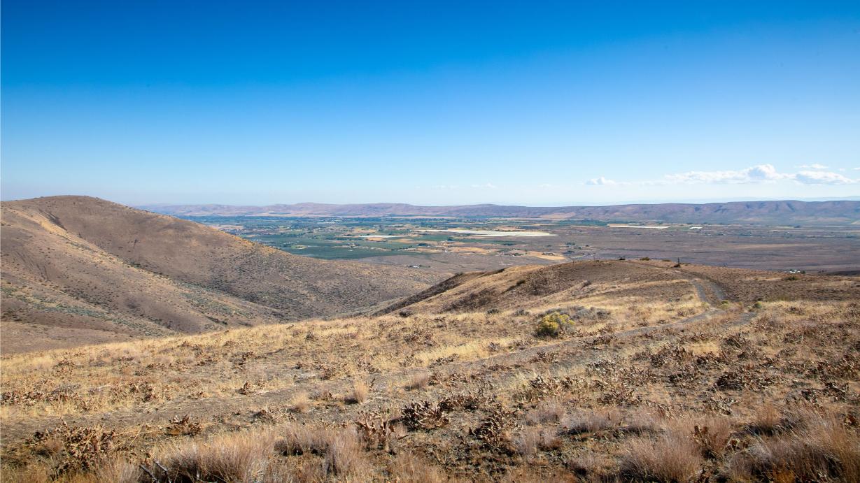 Wilco_251003_CowicheMtn_16131511003_03