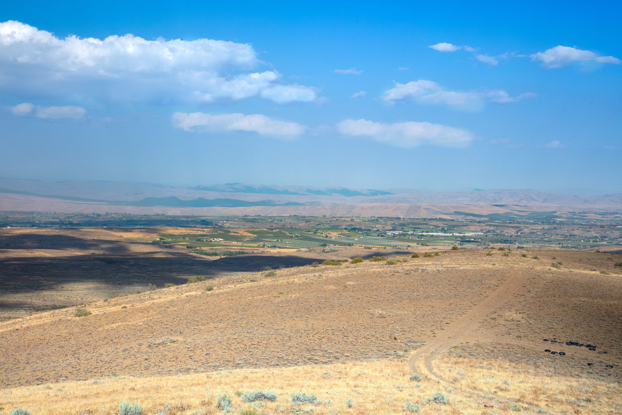 Wilco_251003_CowicheMtn_16131511003_13