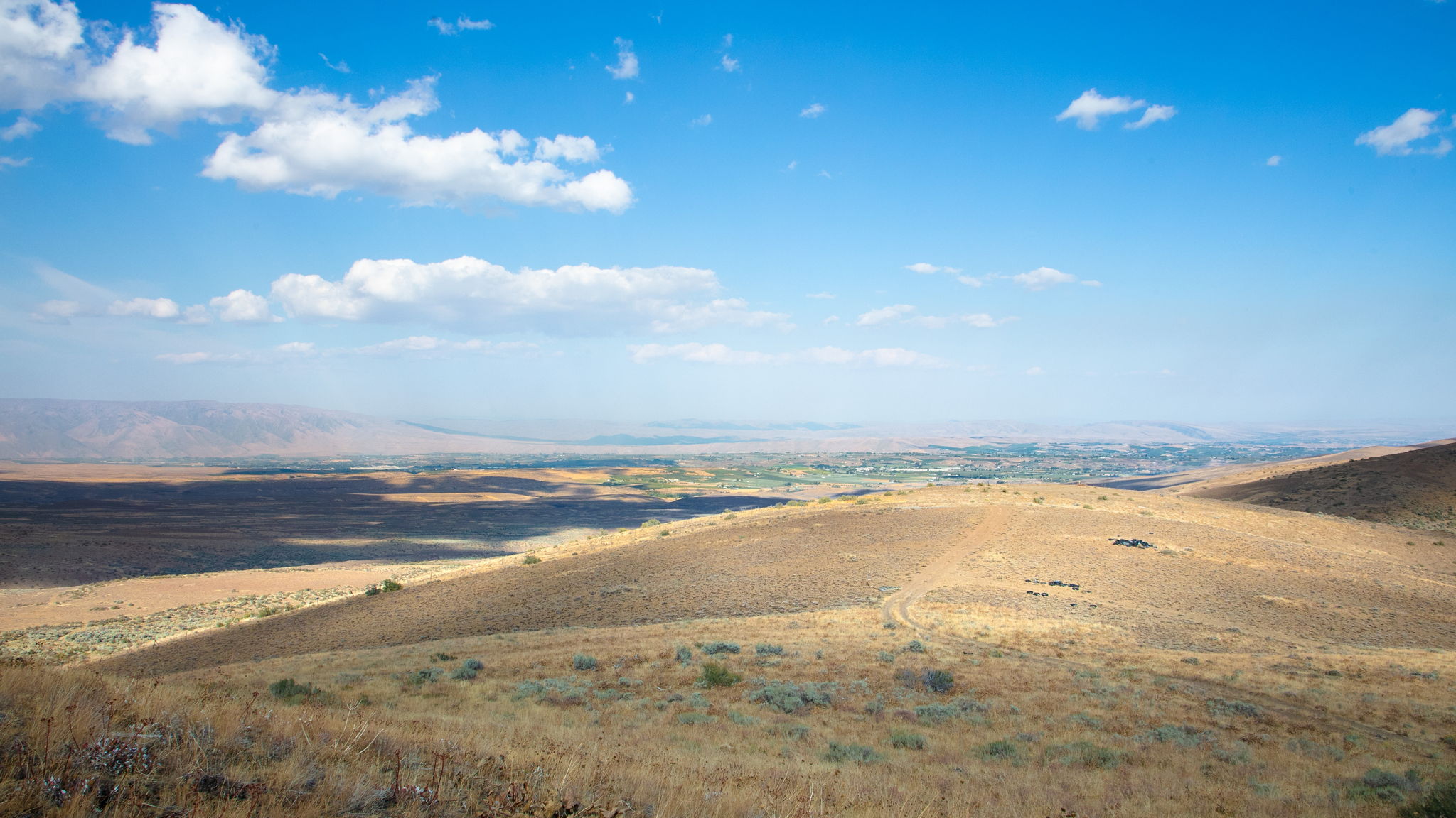 Wilco_251003_CowicheMtn_16131511003_14