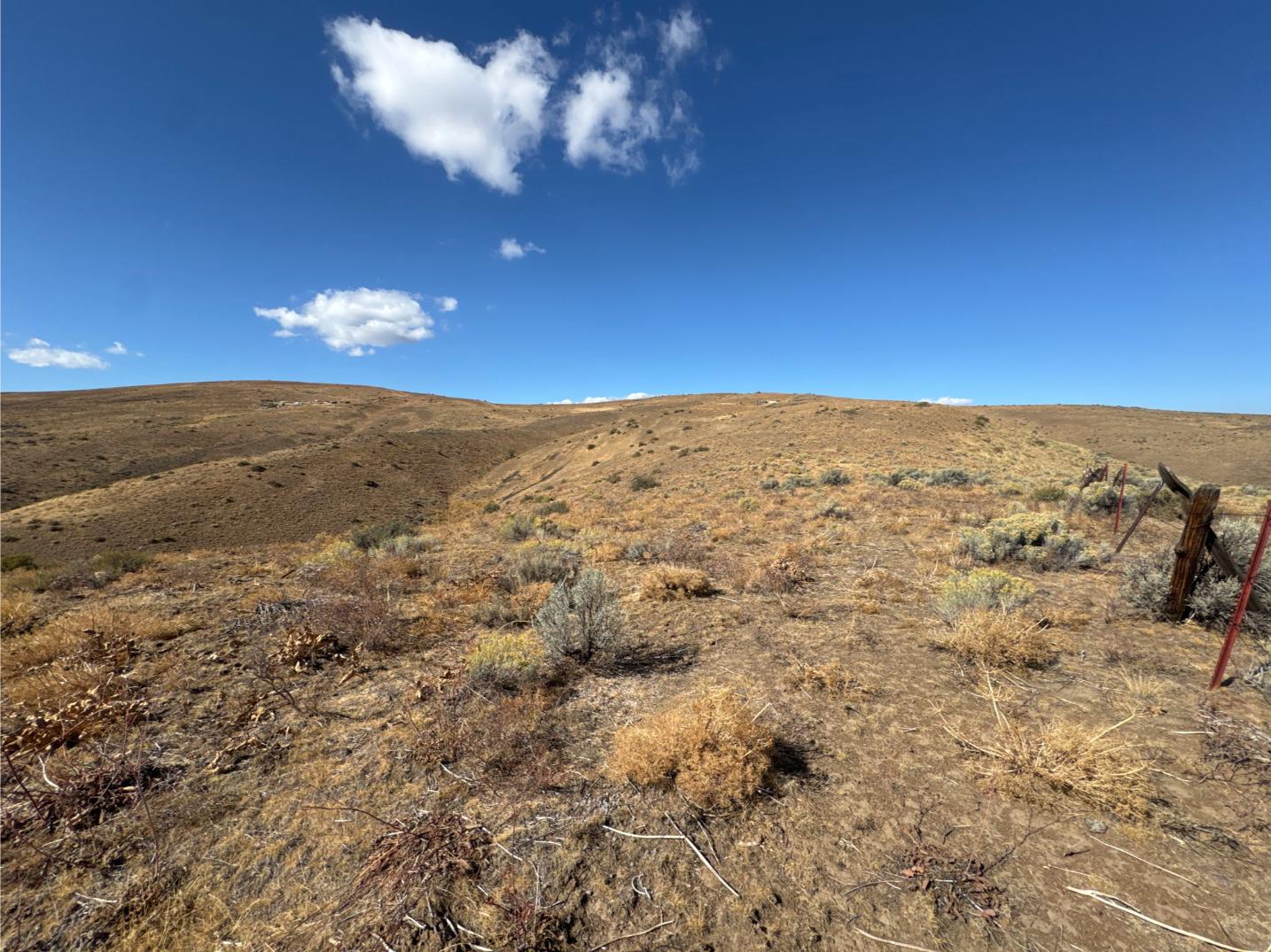 Wilco_251003_CowicheMtn_16131511003_38