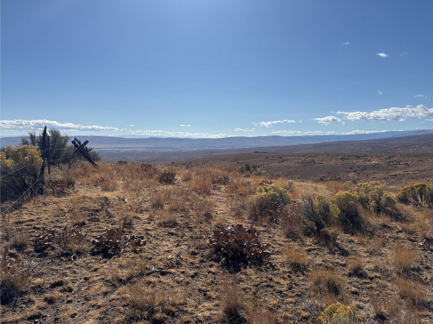 Wilco_251003_CowicheMtn_16131511003_39