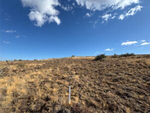 Wilco_251003_CowicheMtn_16131511003_47