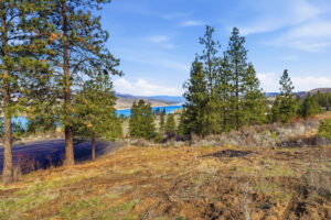 Inside-Media-Blue Sky-19