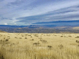 Screenshot 2026-01-18 at 10.20.07 PM