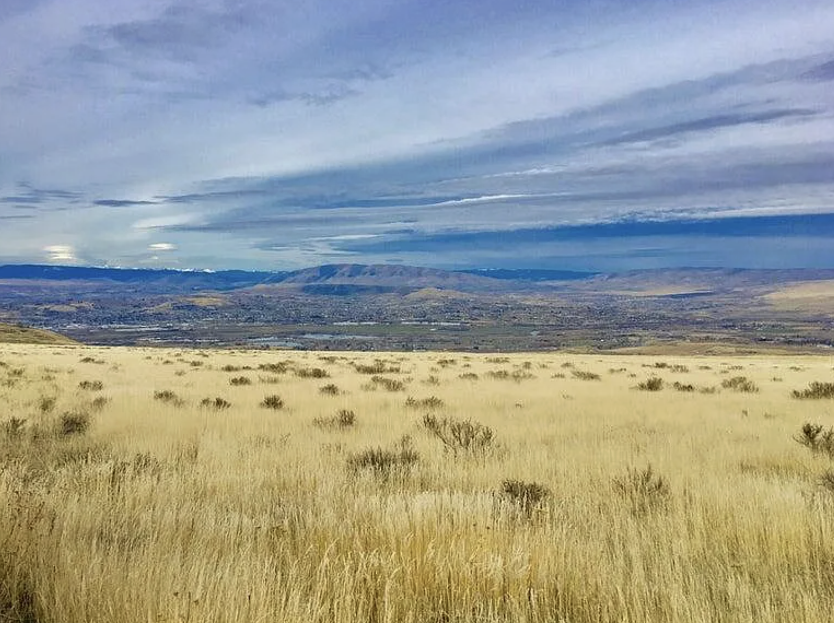 Screenshot 2026-01-18 at 10.20.07 PM