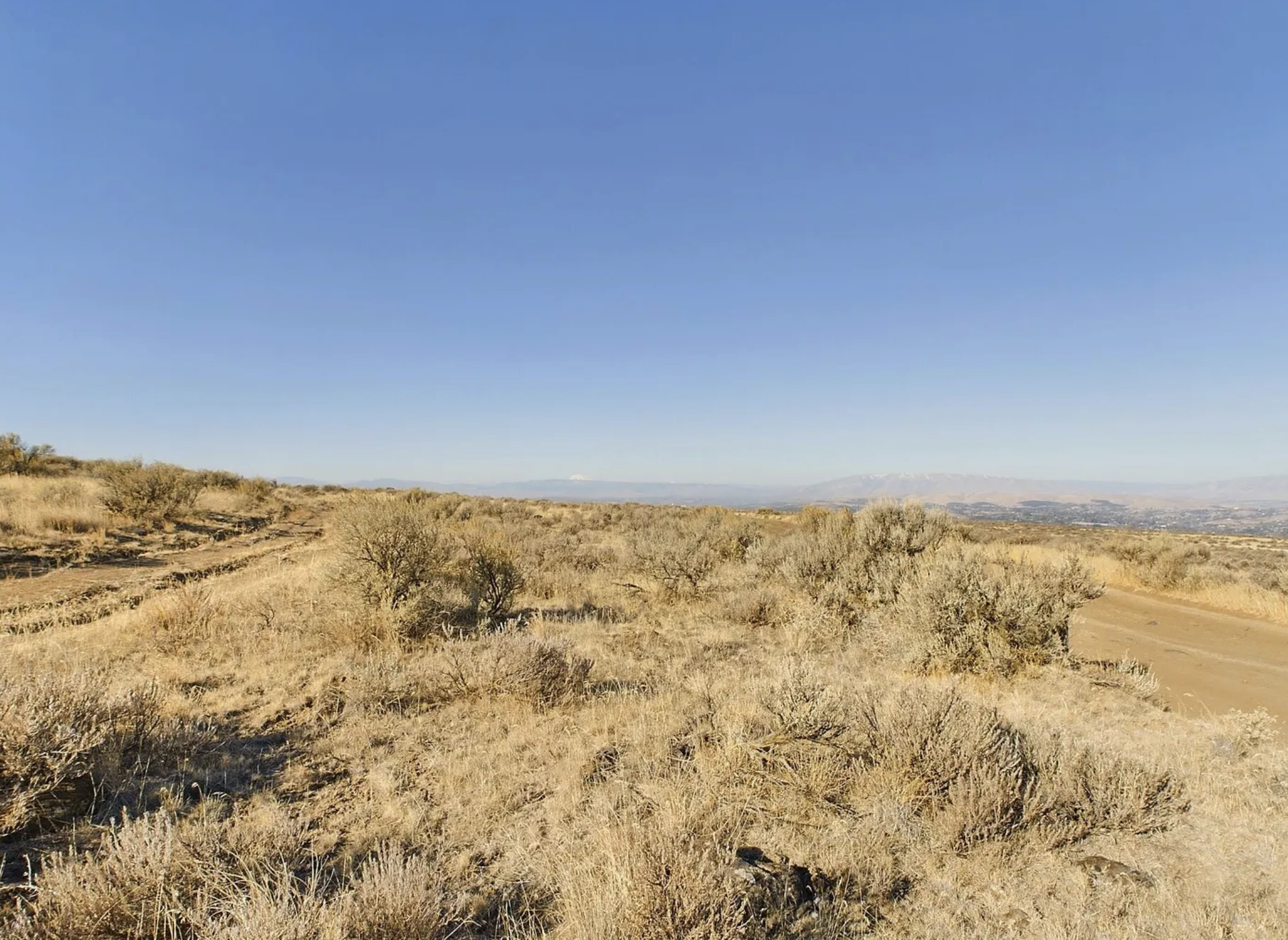 Screenshot 2026-01-18 at 10.22.51 PM