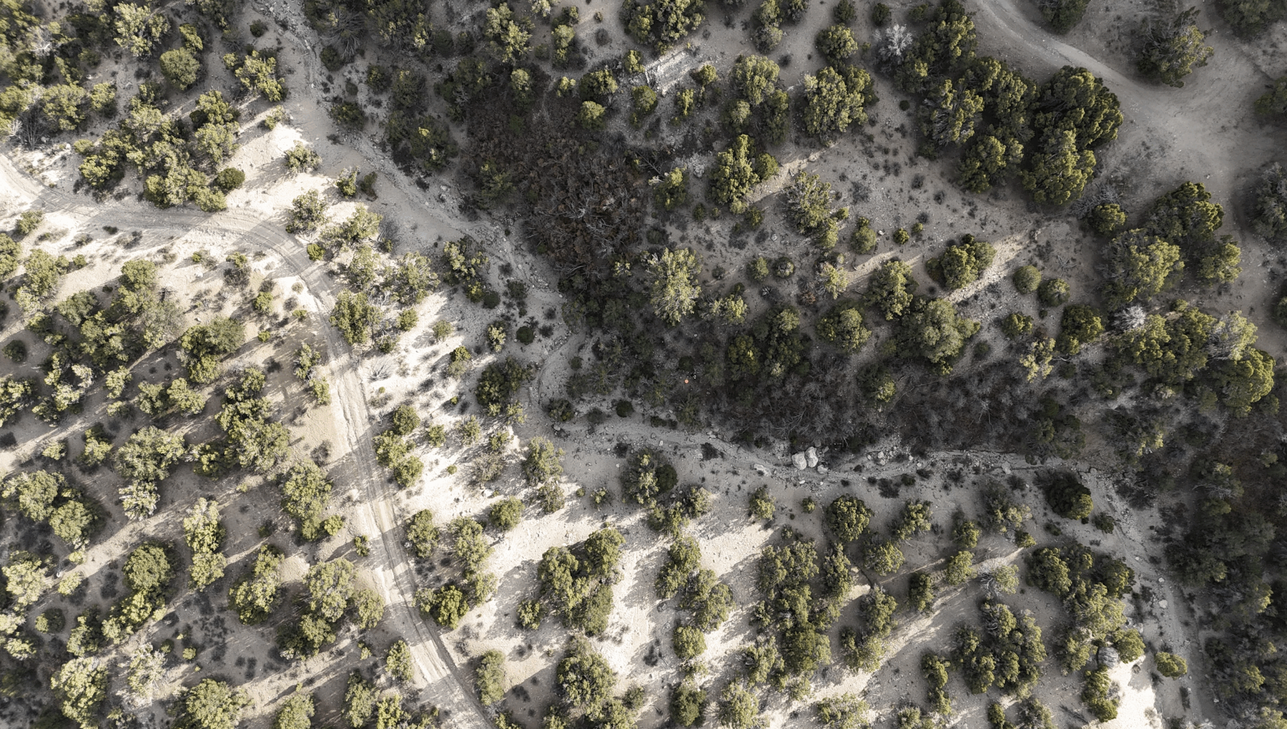 Screenshot 2026-01-19 at 5.28.51 PM