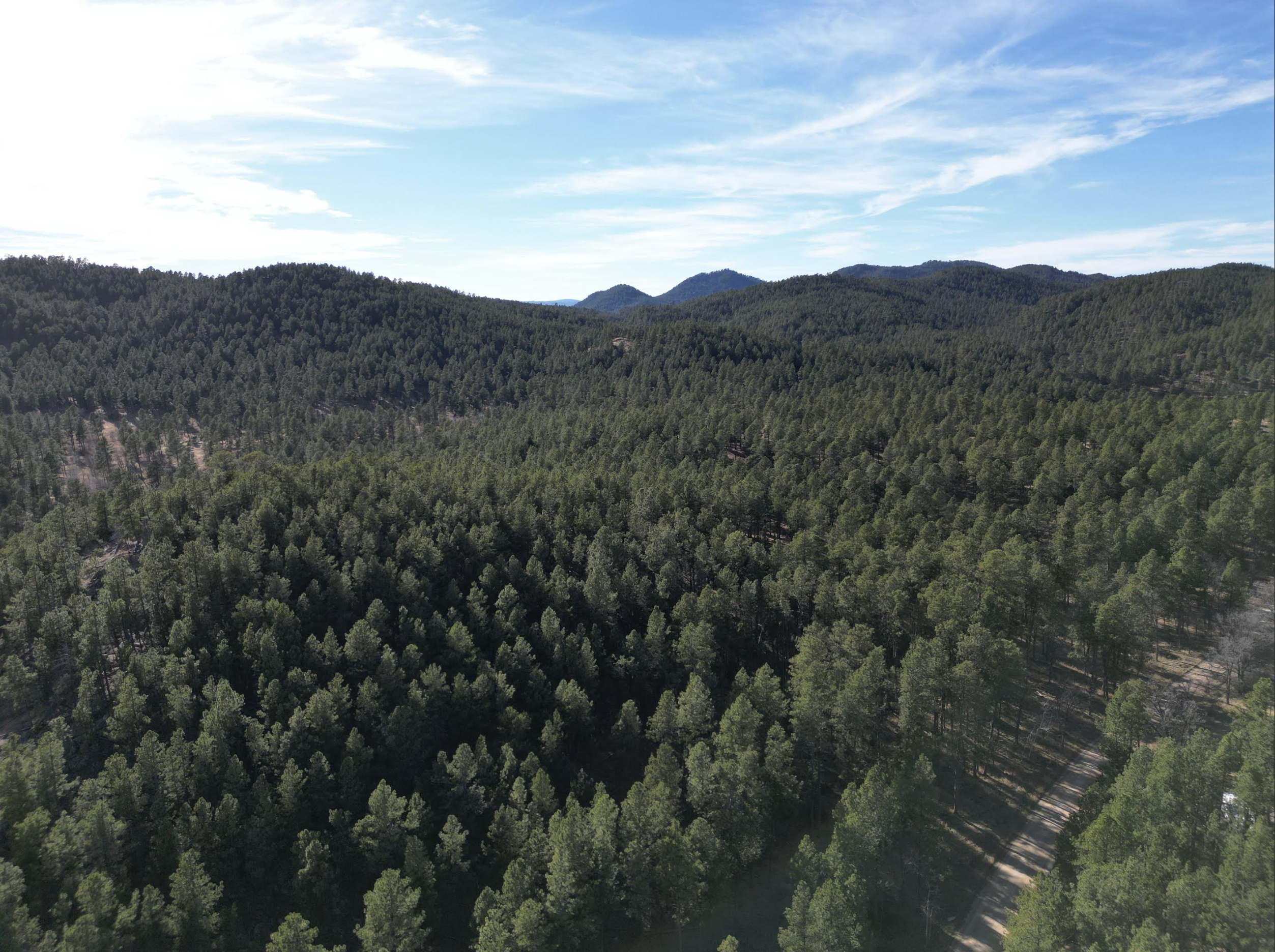 Screenshot 2026-03-20 at 11.53.17 PM