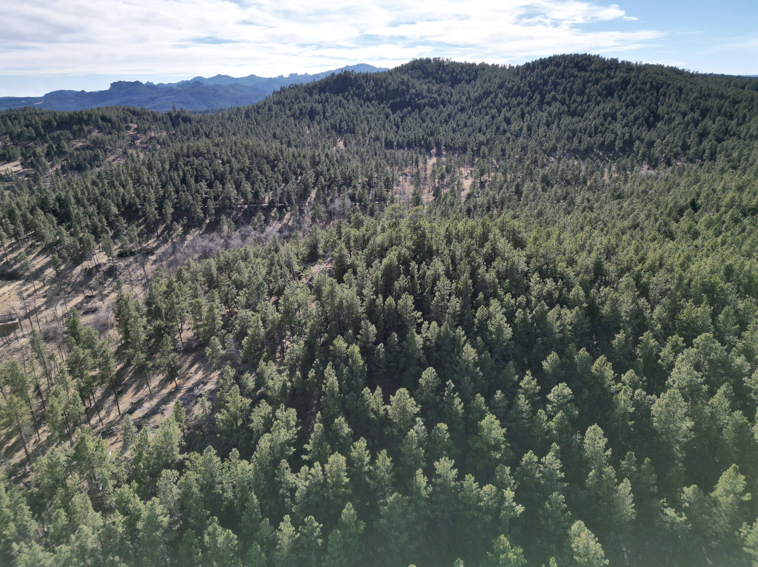 Screenshot 2026-03-20 at 11.53.24 PM