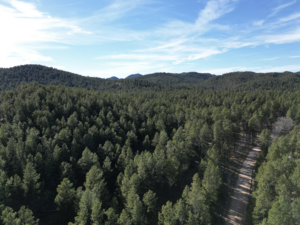 Screenshot 2026-03-20 at 11.53.31 PM