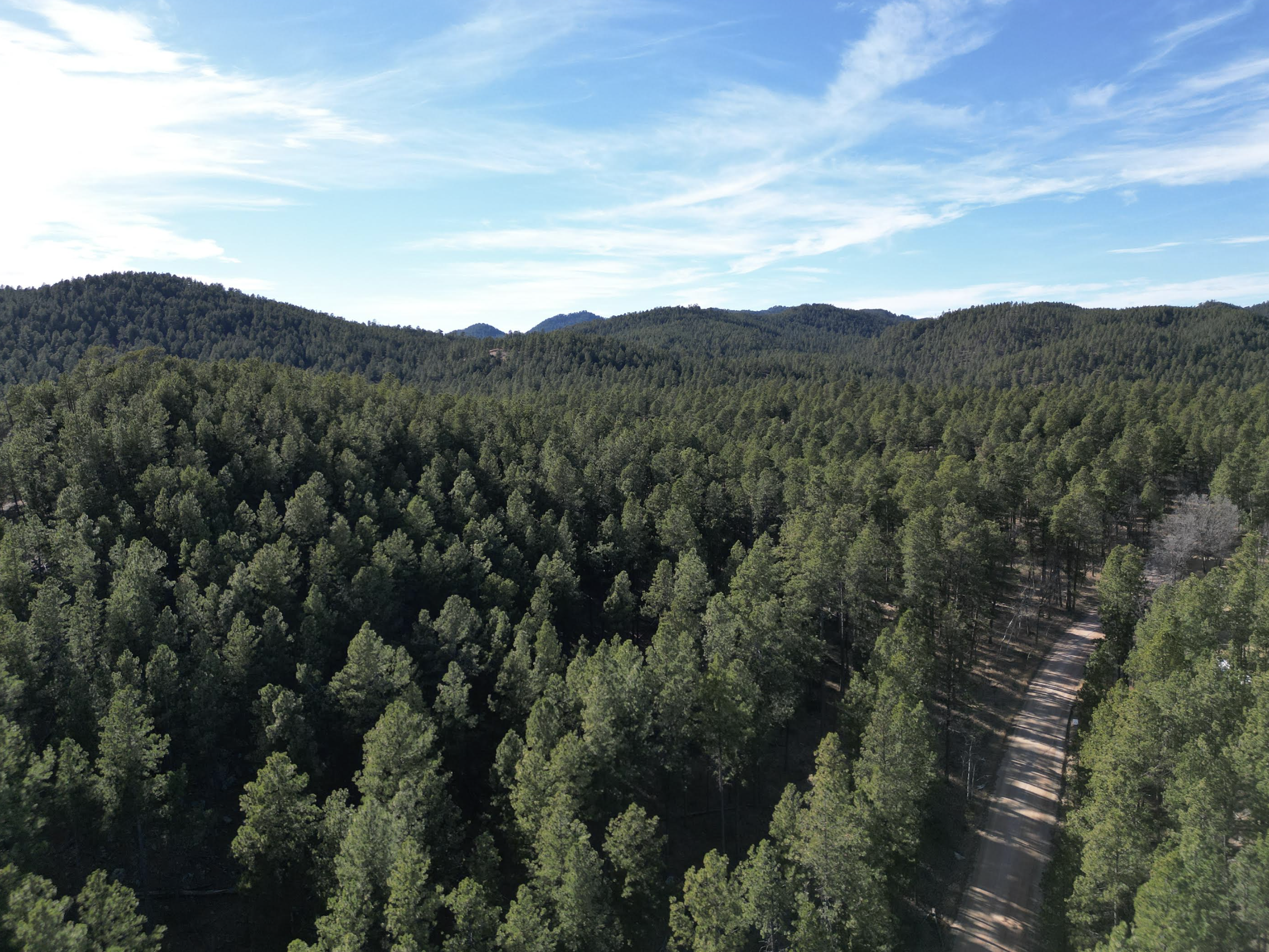 Screenshot 2026-03-20 at 11.53.31 PM