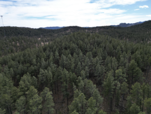 Screenshot 2026-03-20 at 11.53.38 PM