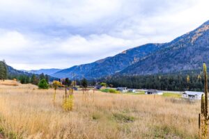 WIlco Missoula Sautbine-01