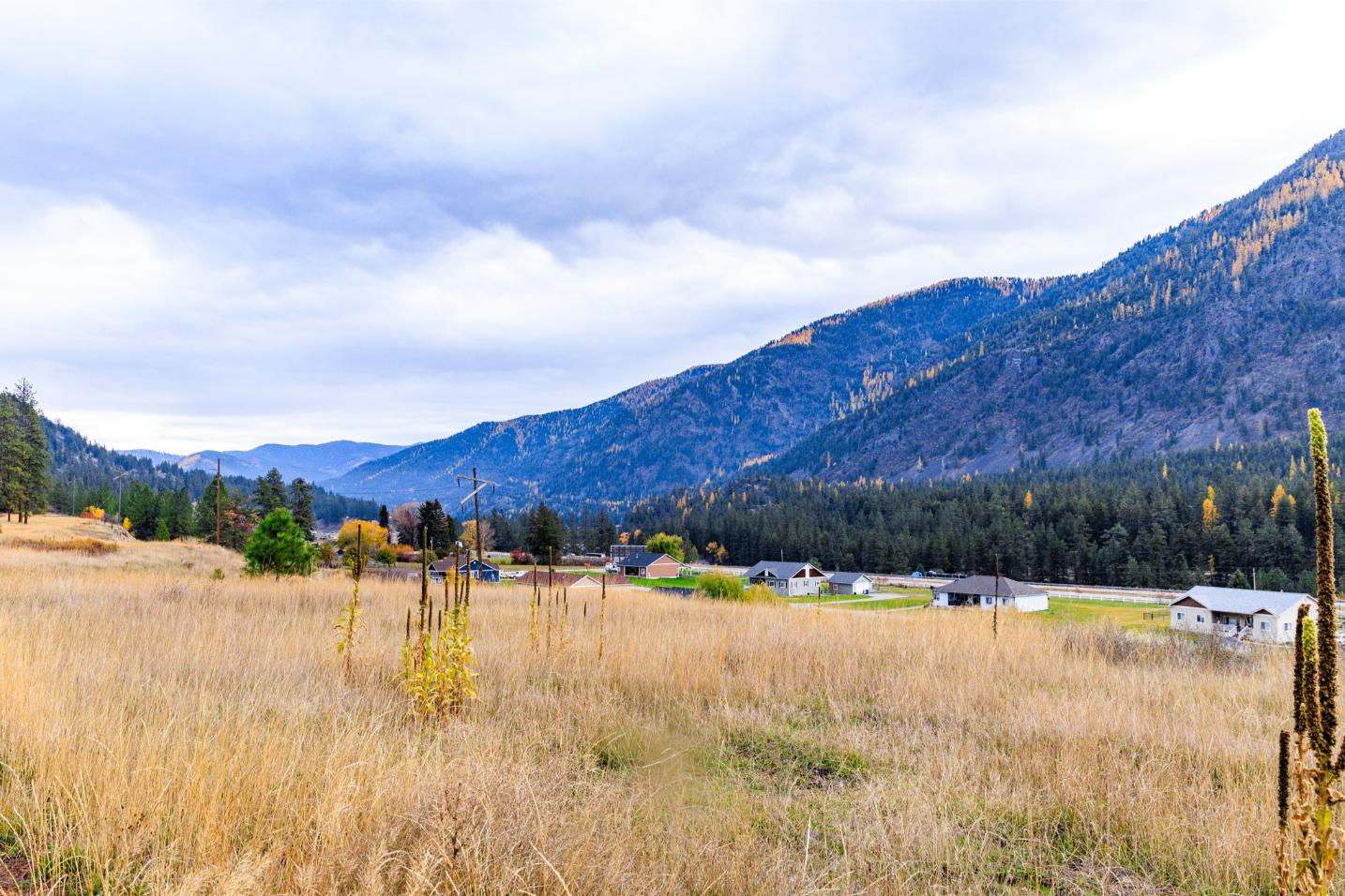 WIlco Missoula Sautbine-01