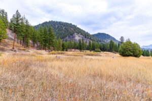 WIlco Missoula Sautbine-05