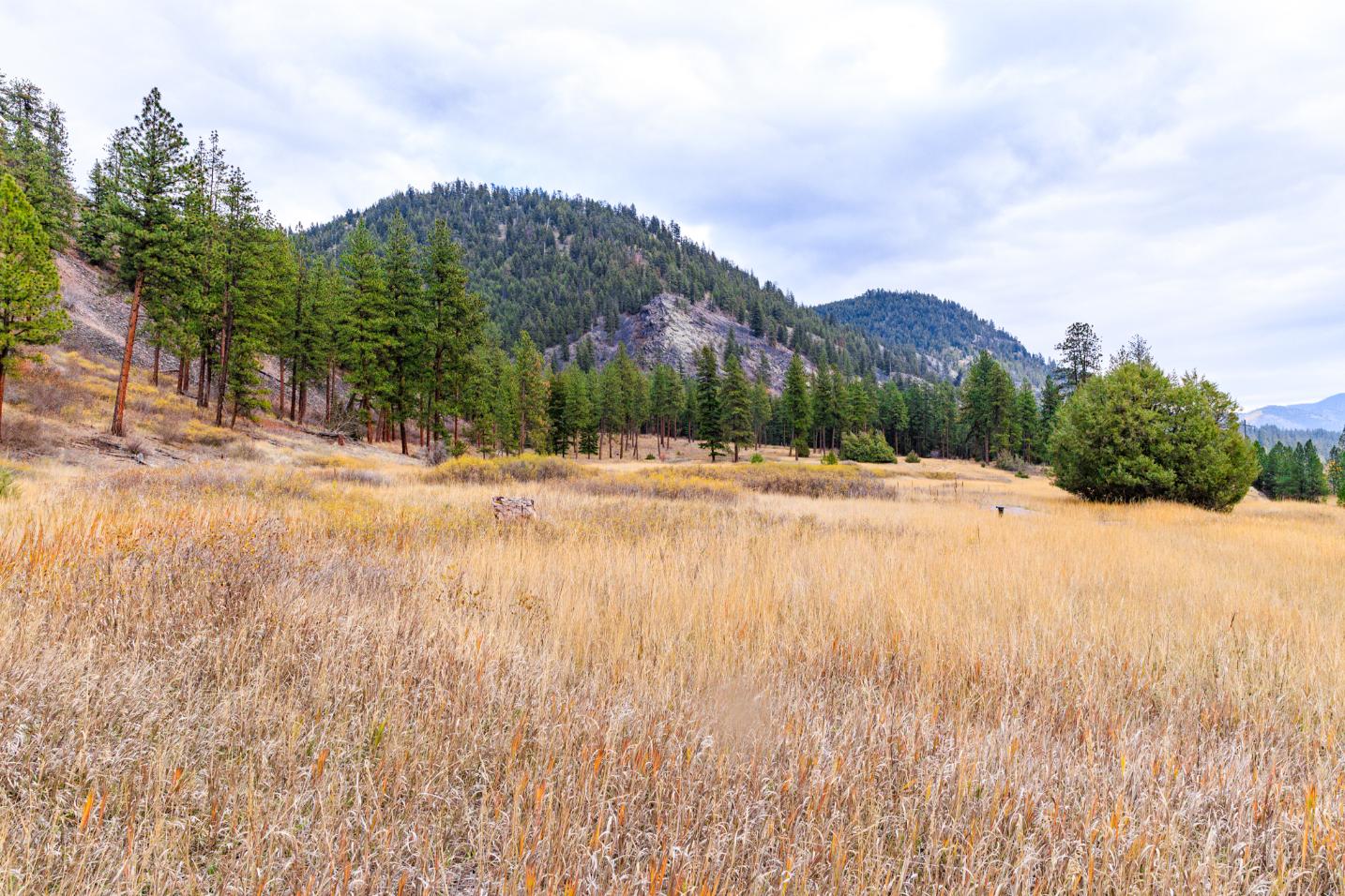 WIlco Missoula Sautbine-05