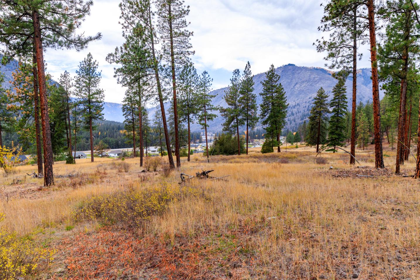 WIlco Missoula Sautbine-06