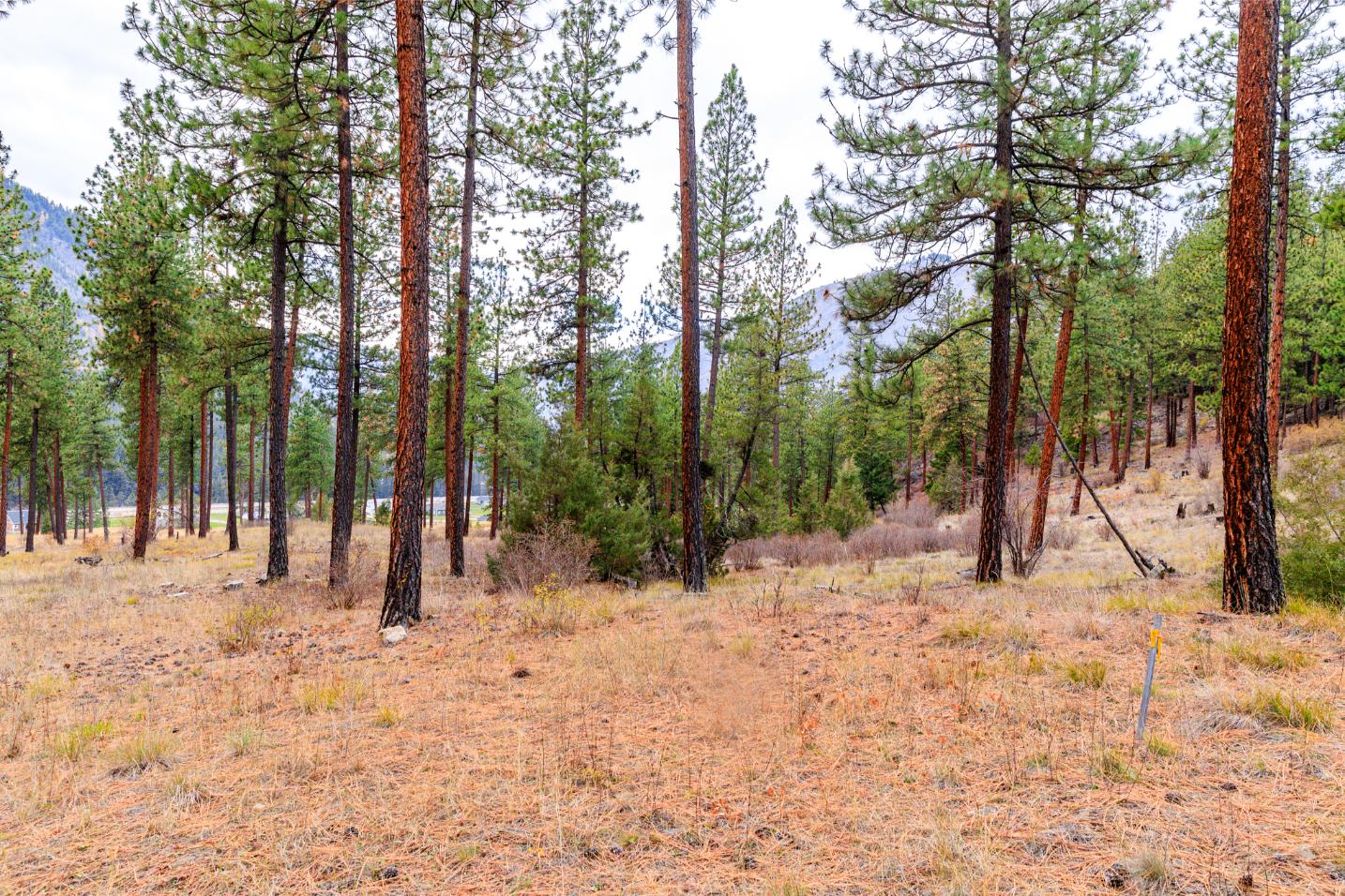 WIlco Missoula Sautbine-09