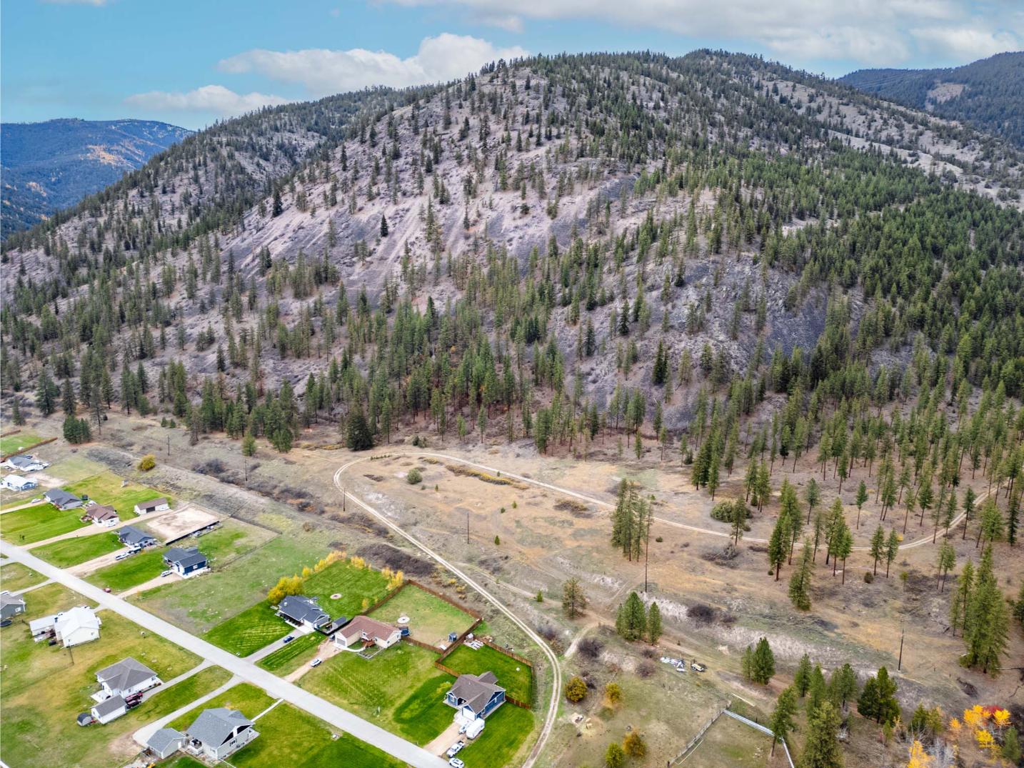 WIlco Missoula Sautbine Drone-02